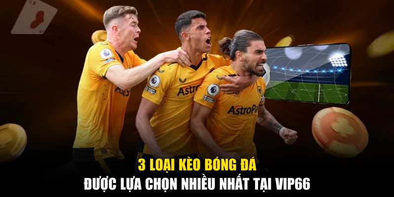 3 loại kèo bóng đá được lựa chọn nhiều nhất tại Vip66
