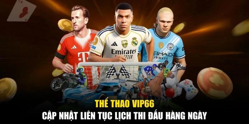 Thể thao Vip66 cập nhật liên tục lịch thi đấu hàng ngày