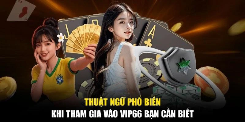 Thuật ngữ phổ biến khi tham gia vào Vip66 bạn cần biết