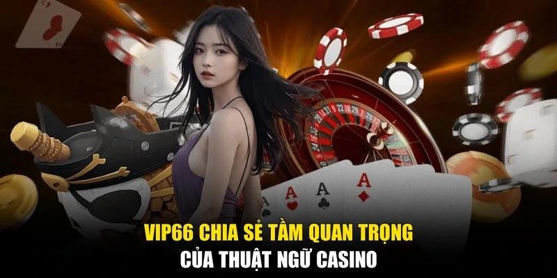 Vip66 chia sẻ tầm quan trọng của thuật ngữ casino